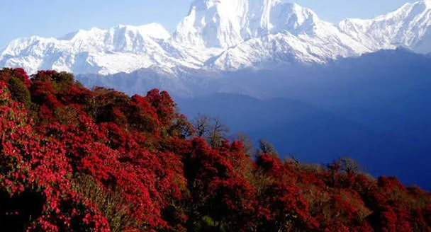 Climate of Bhutan