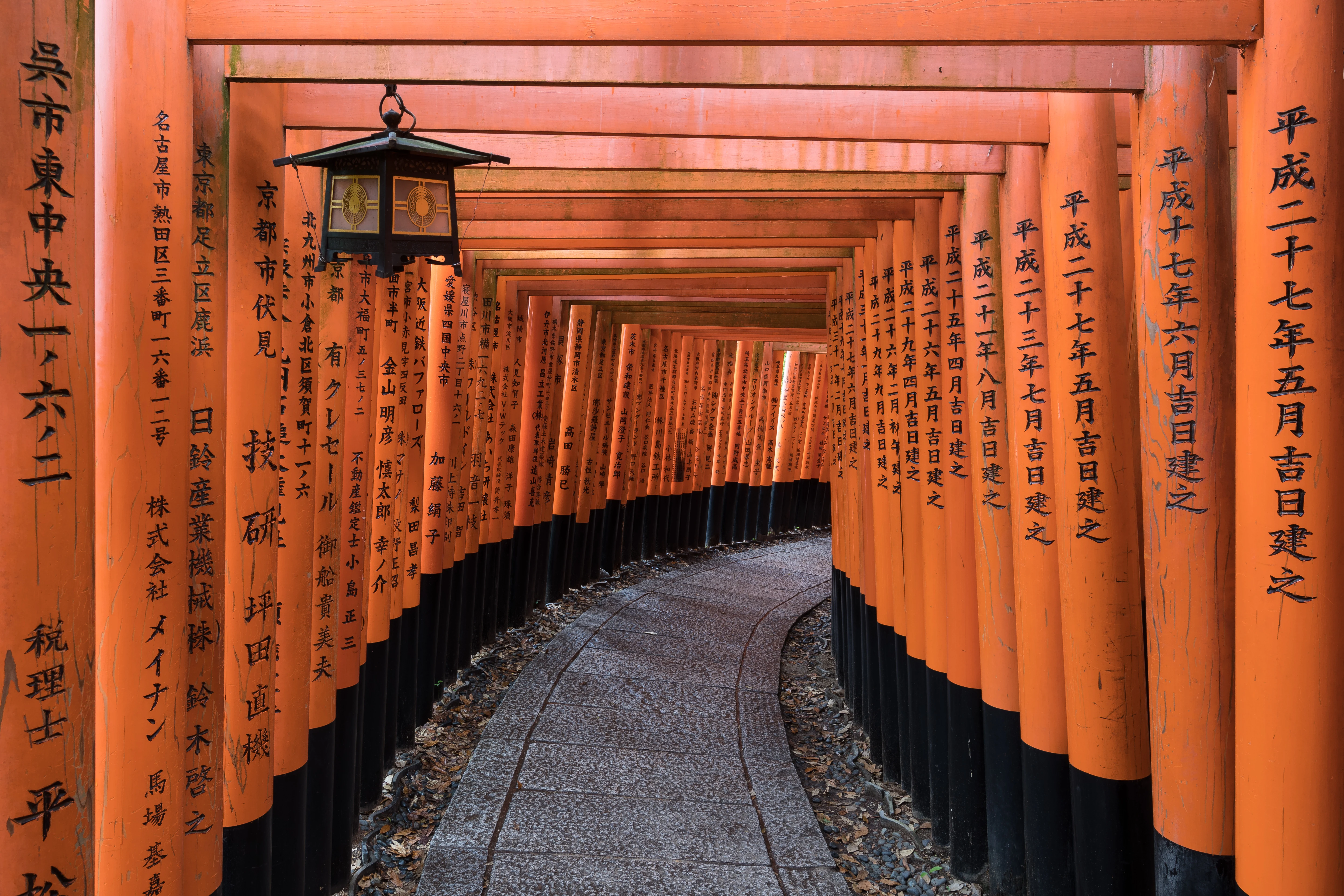 Japan Tourism