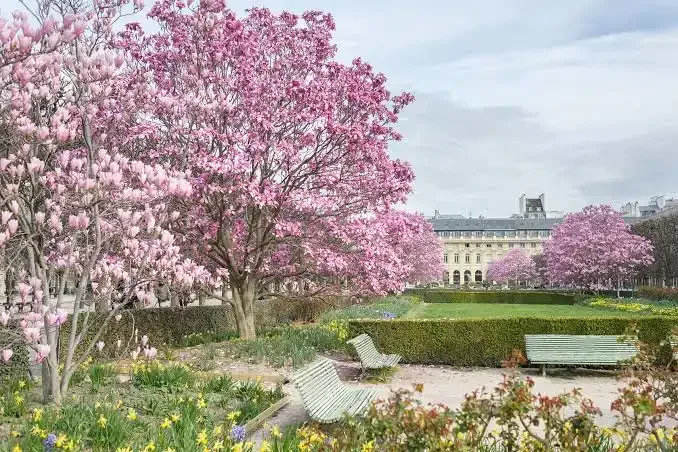 Best Time to Visit France