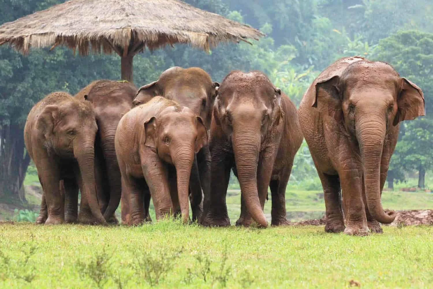 Things to Do in Thailand