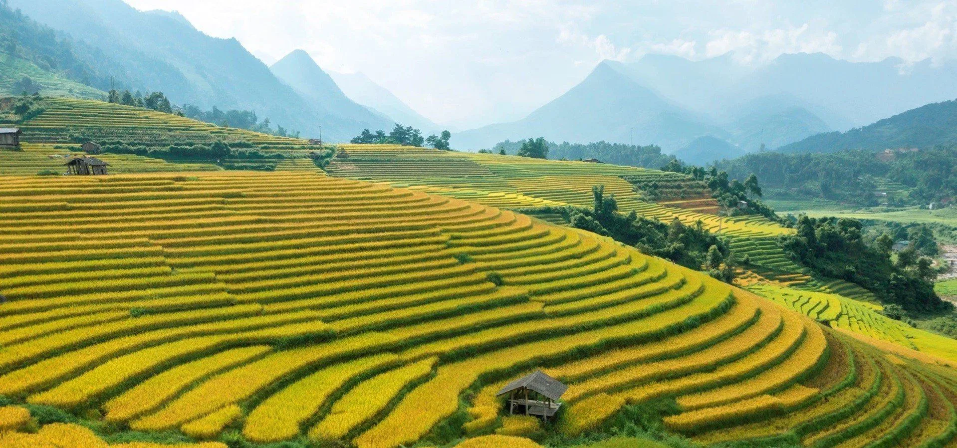 Geography of Vietnam