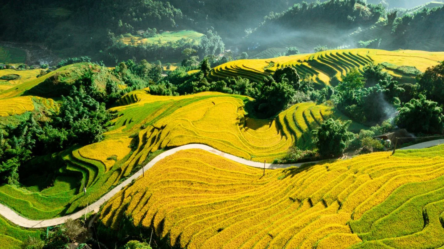 Best Time to Visit Vietnam