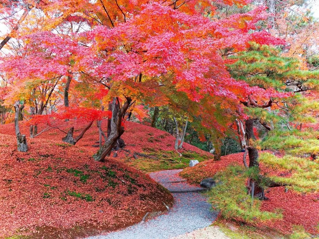 Best Time to Visit Japan