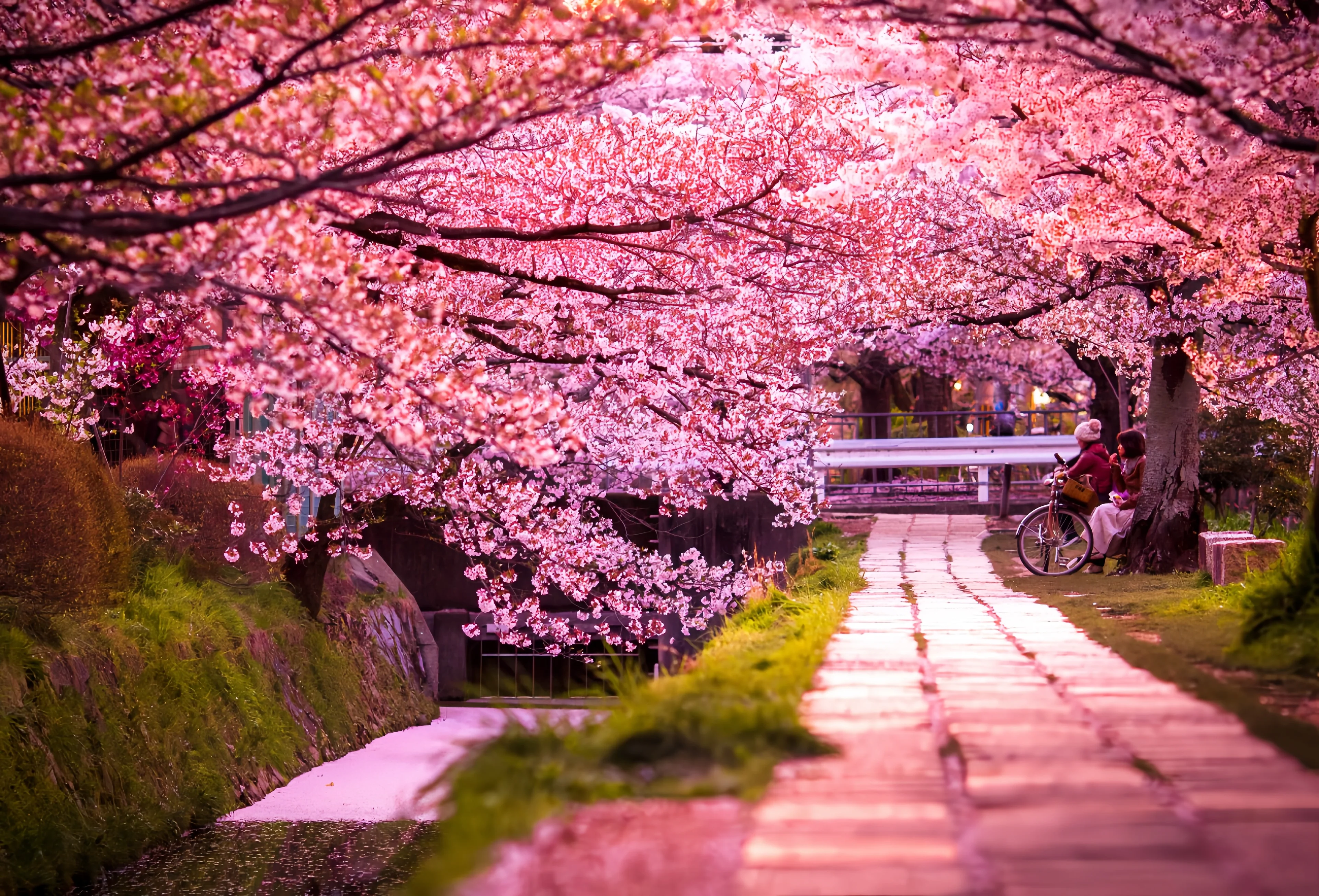 Climate of Japan