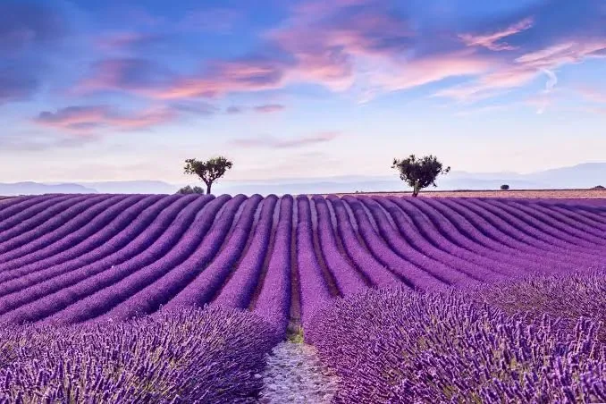 Climate of France