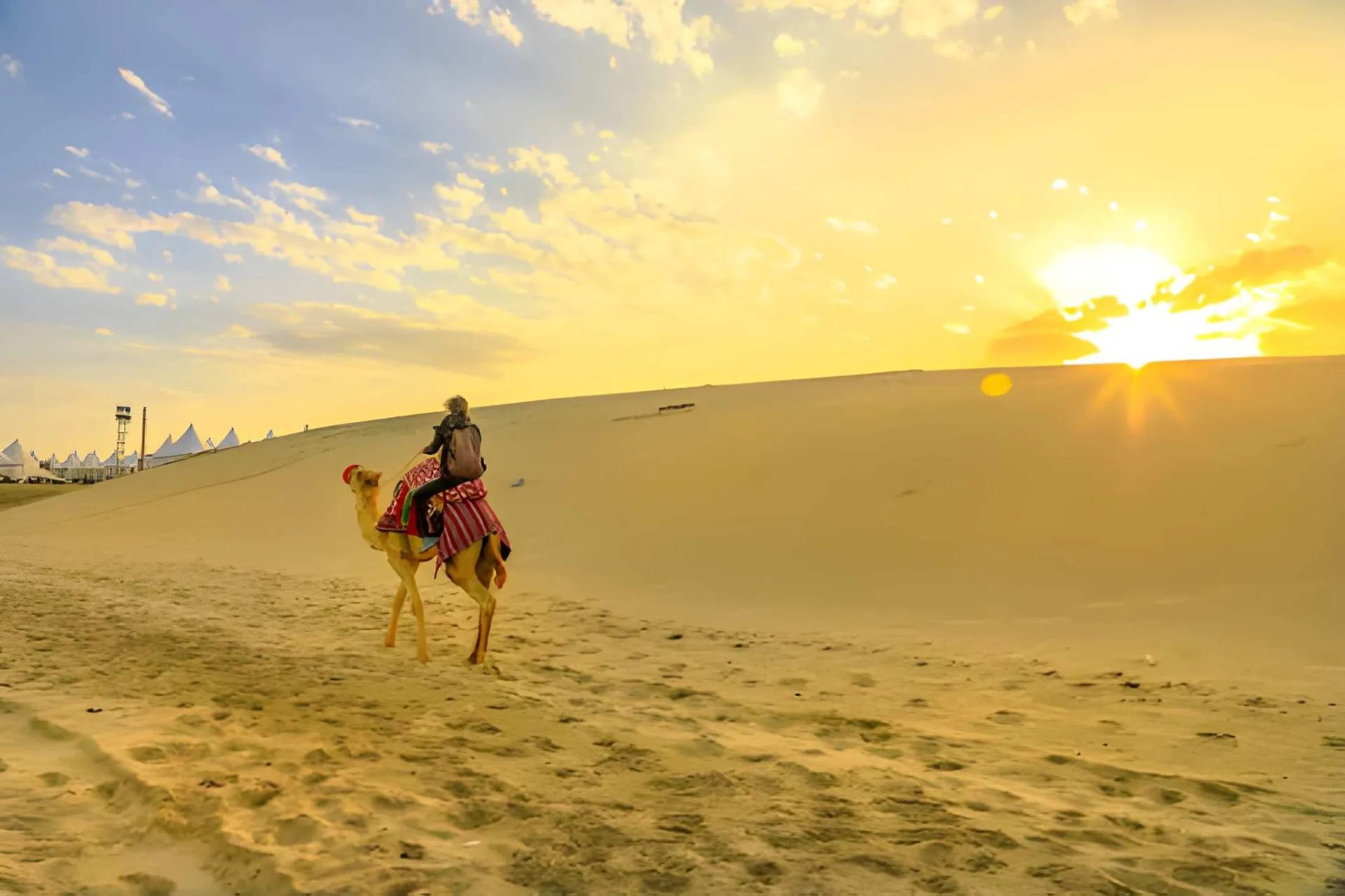 Highlights of Qatar: Doha, Culture & the Desert