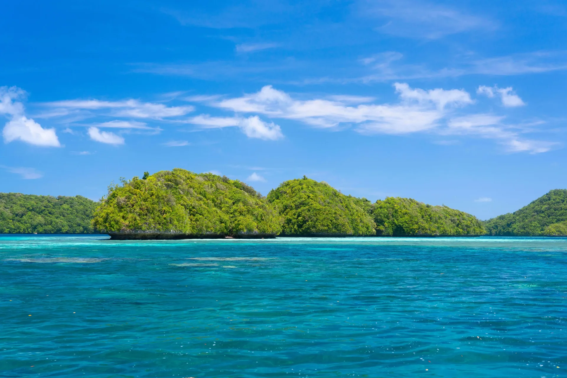Palau Short Escape: Koror & the Rock Islands