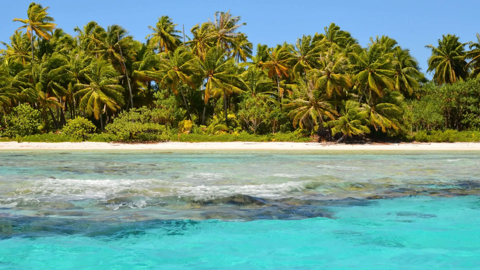 New Caledonia Diving & the World Heritage Lagoon