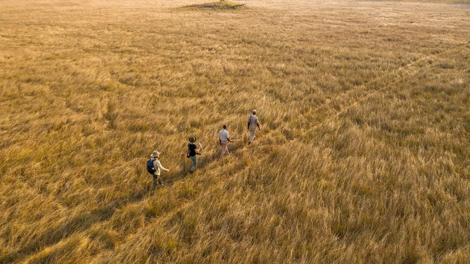 Kafue & Busanga Plains: Zambia's Vast Wilderness