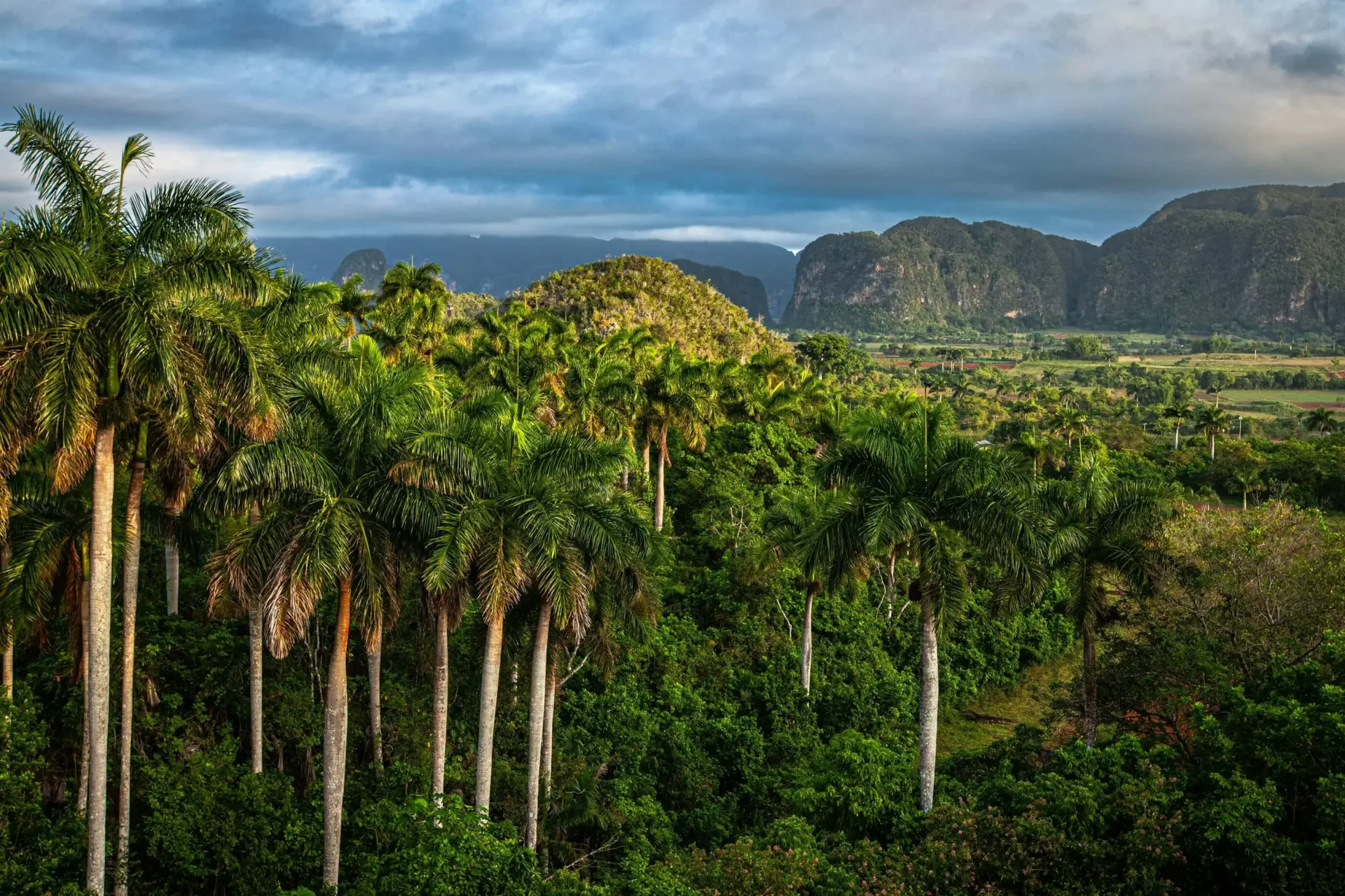 Cuba Short Escape: Havana & Vinales