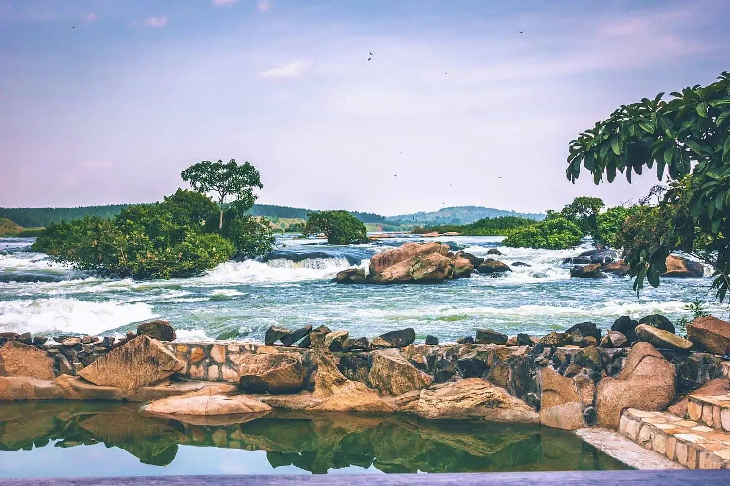 Gorillas & the Nile: Uganda Adventure at Jinja