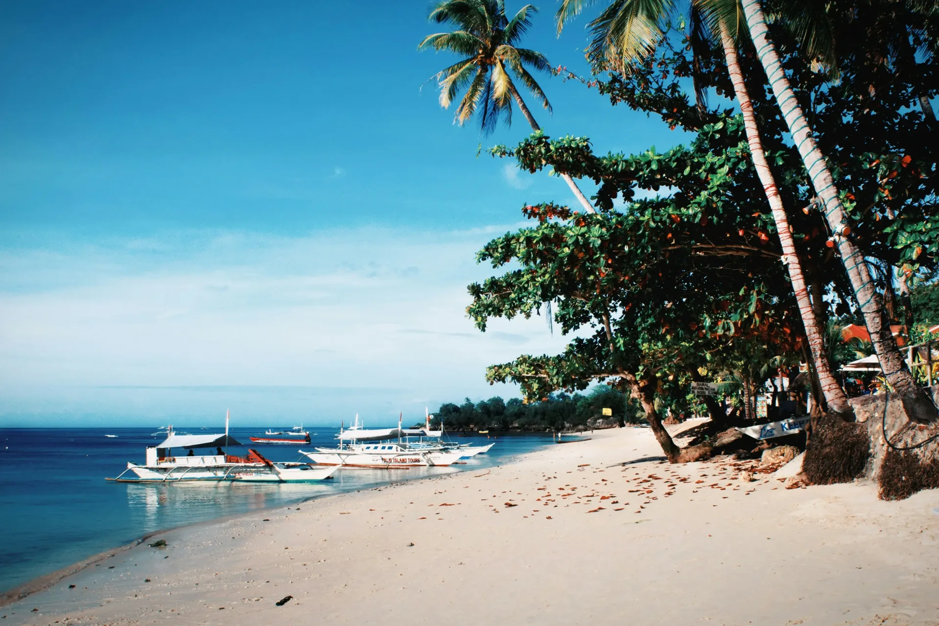 Cebu & Bohol Adventure