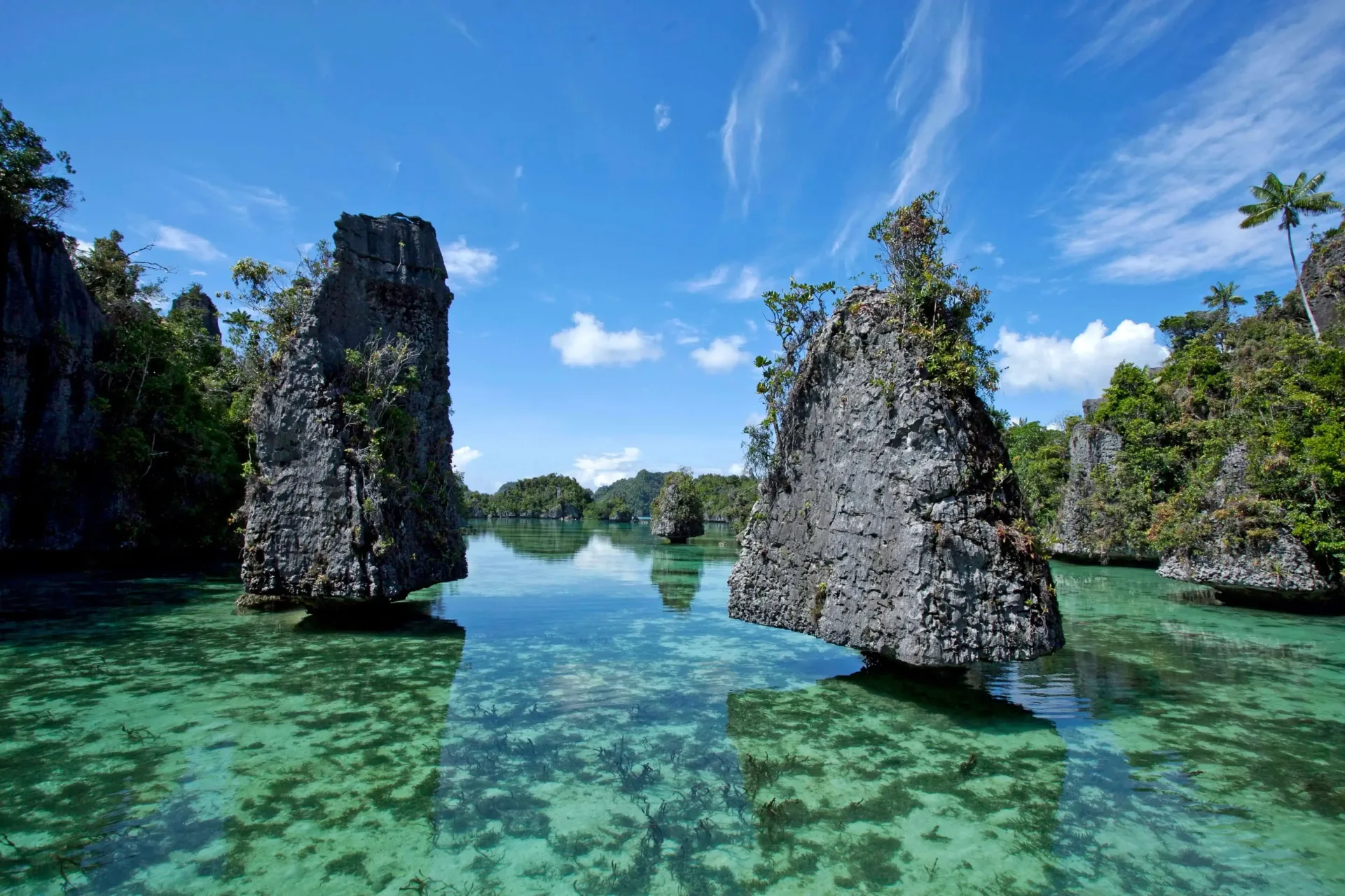 Palau Kayaking & Rock Islands Expedition