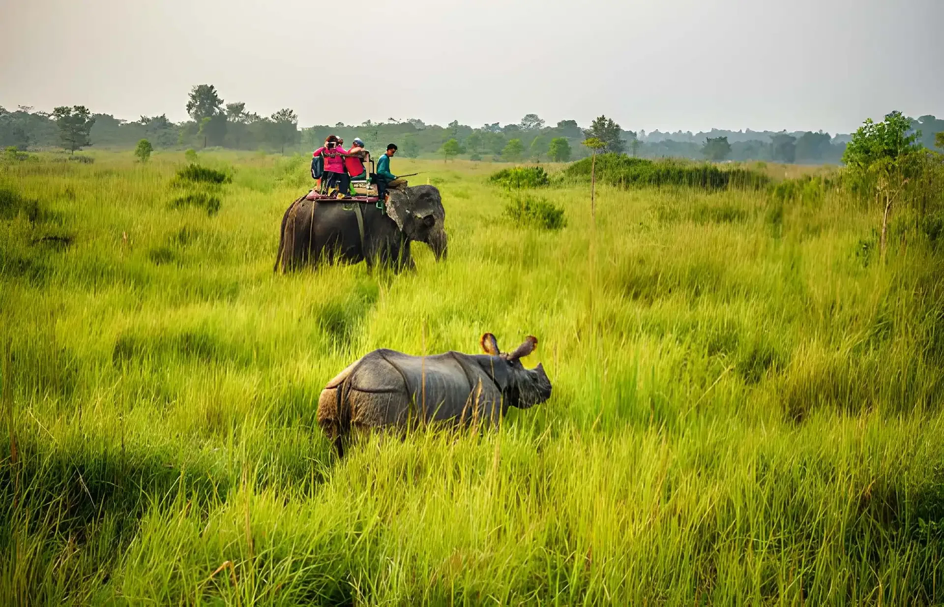 Chitwan & Bardia Wildlife Safari