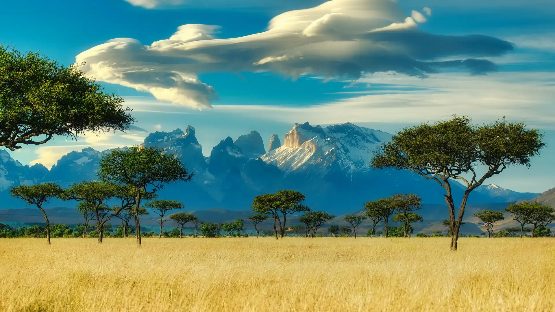 Luxury Kenya: A Fly-in Safari & Swahili Coast Odyssey