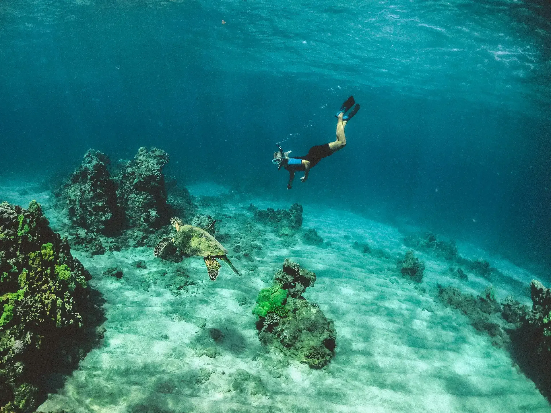 Cook Islands Diving & Snorkelling: Rarotonga & Aitutaki