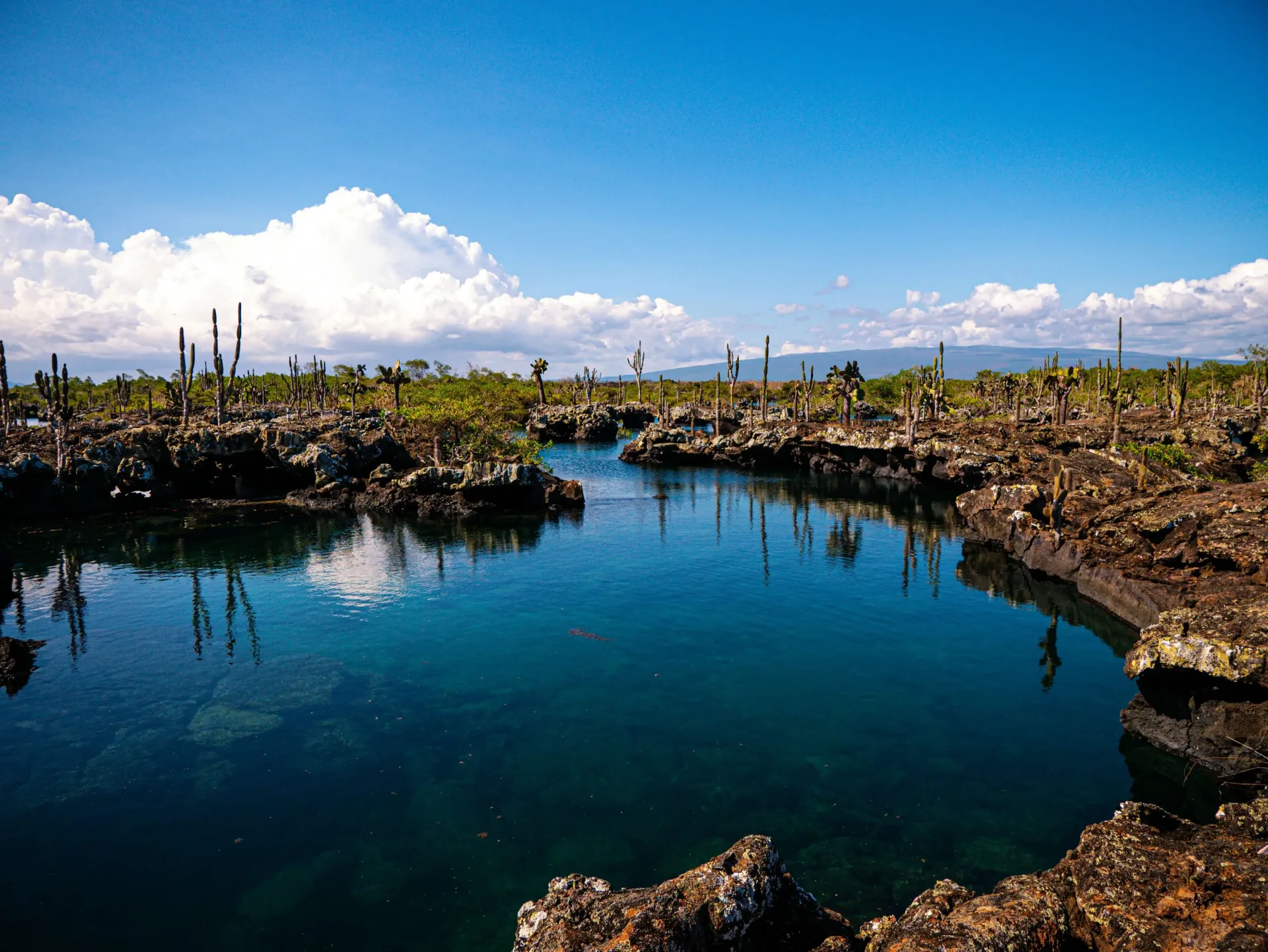 Galapagos Land-Based Island Hopping