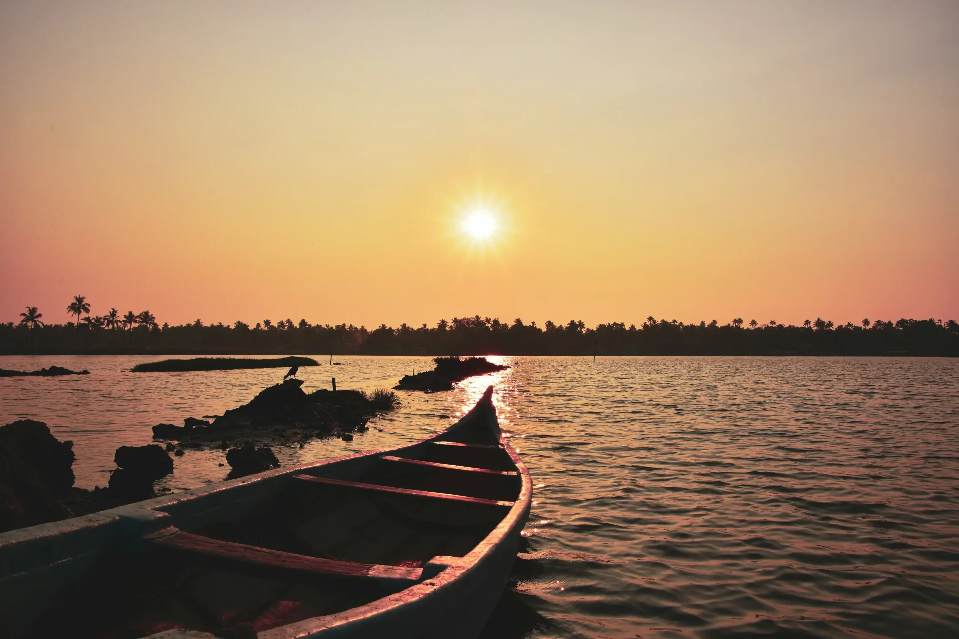 Kerala Backwaters & Hills