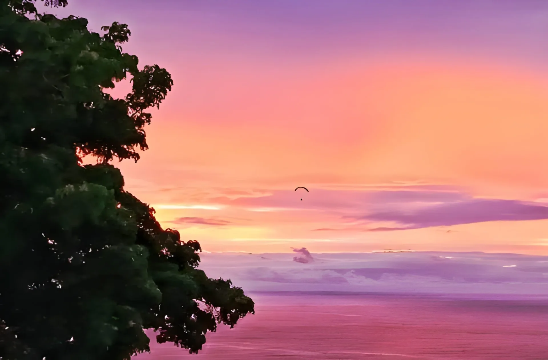 Reunion Adventure: Canyoning, Paragliding & Peaks