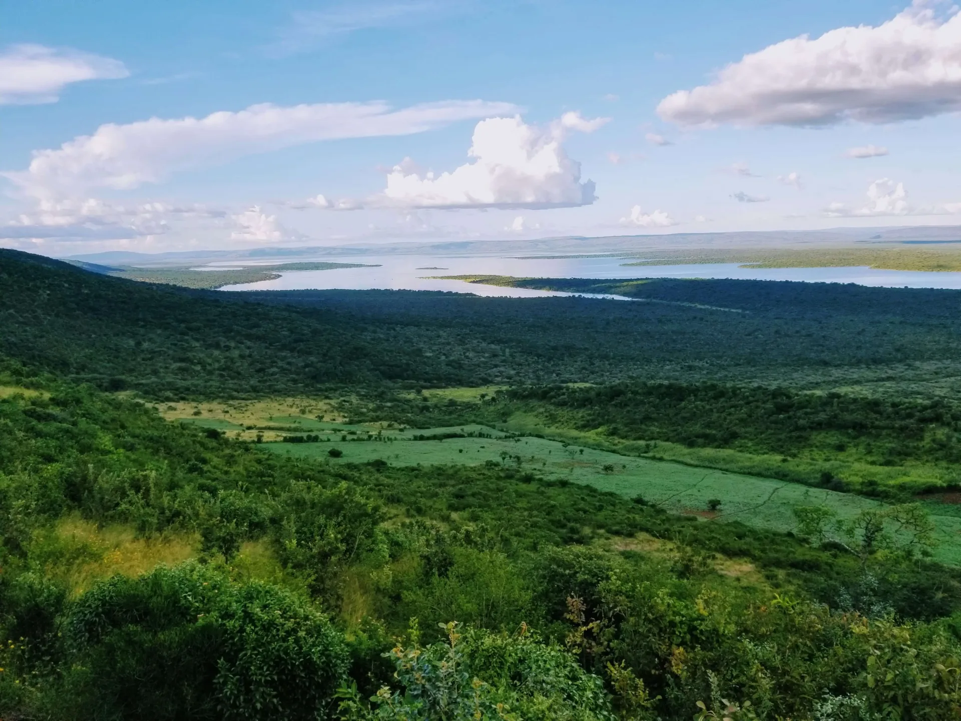 Big Five Akagera & Mountain Gorillas