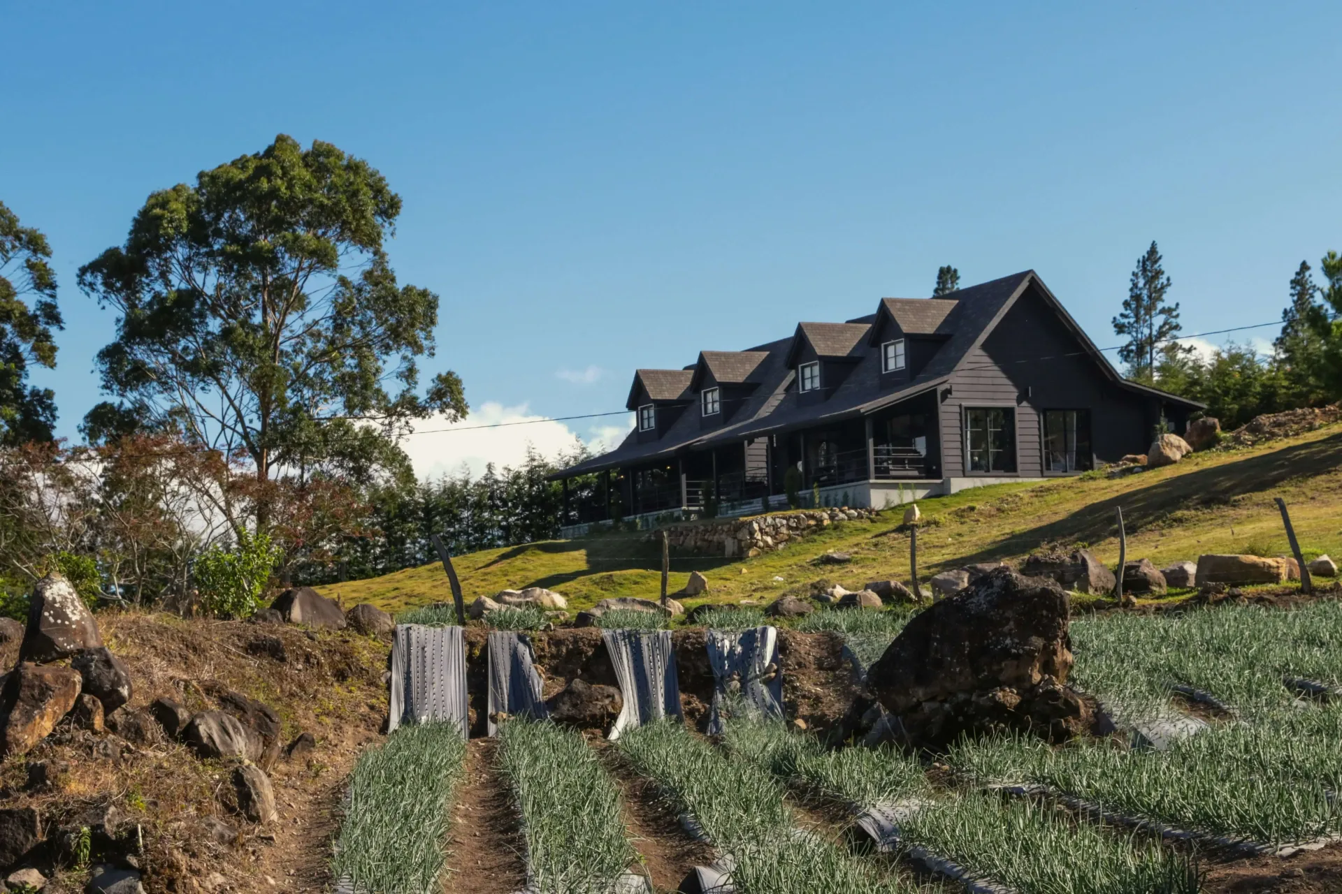 Boquete & the Chiriqui Highlands: Coffee, Cloud Forest & Volcan Baru