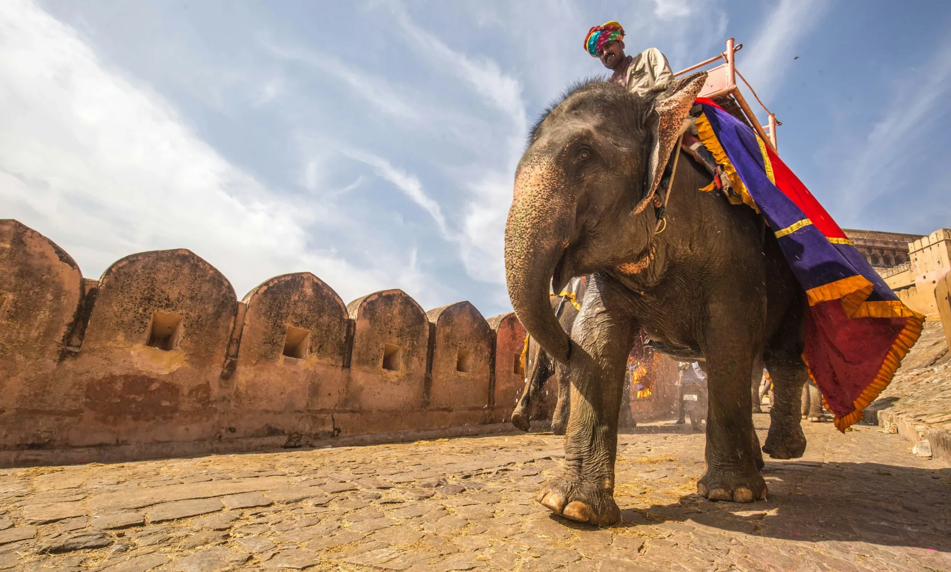 India Family Adventure