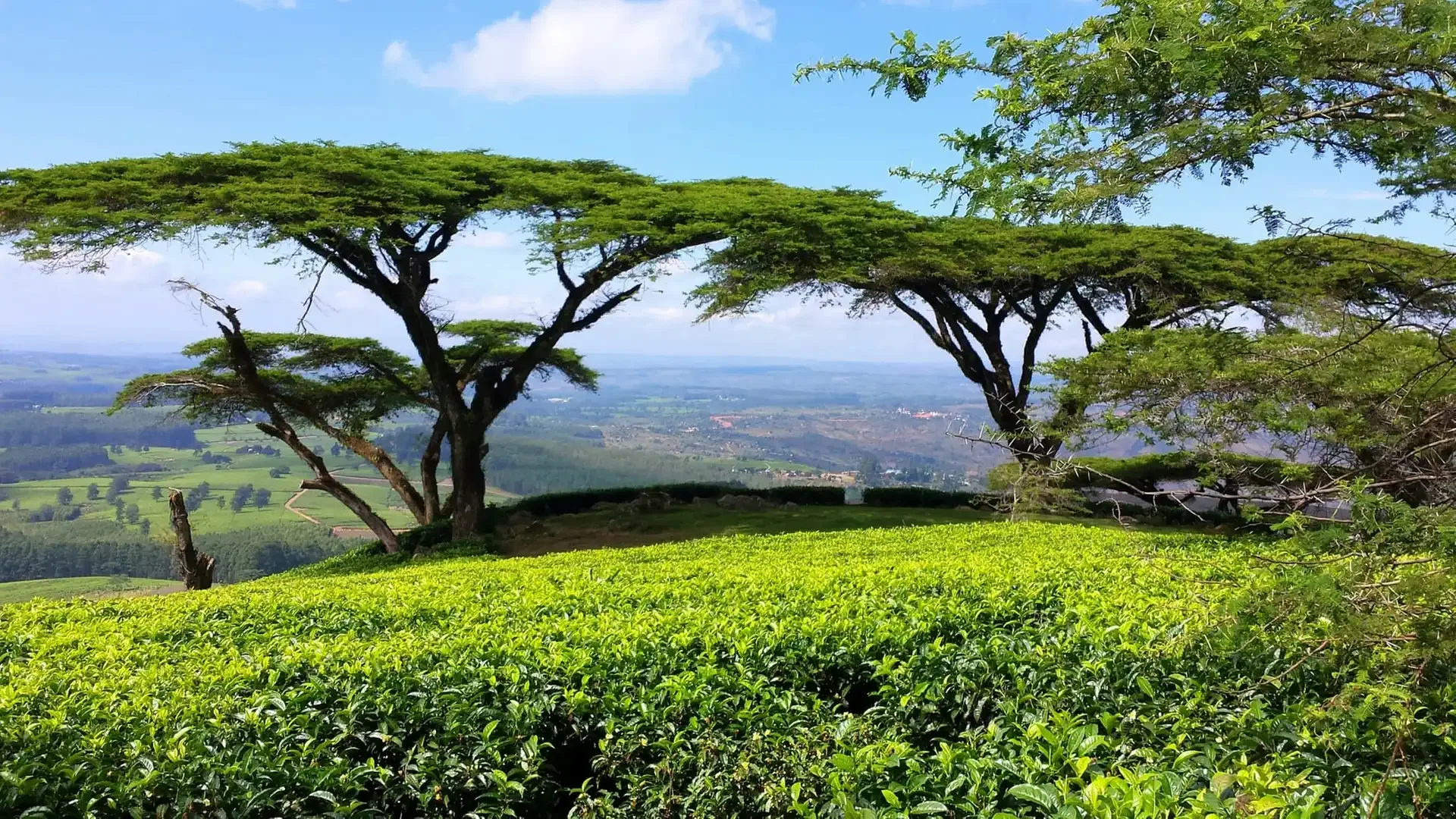 Grand Tour of Malawi: Highlands, Big Five & the Lake of Stars