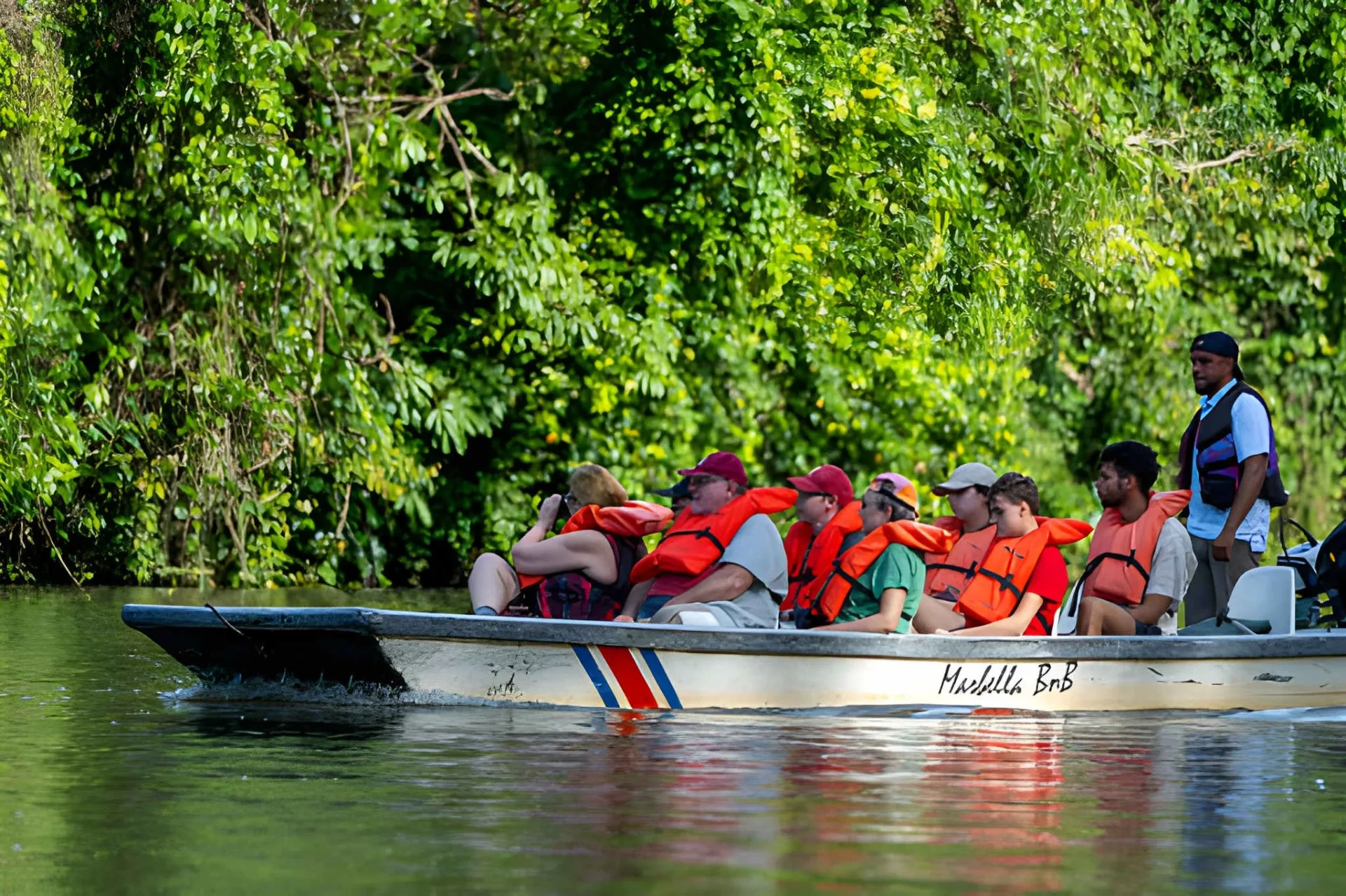 Costa Rica Wildlife & Rainforest