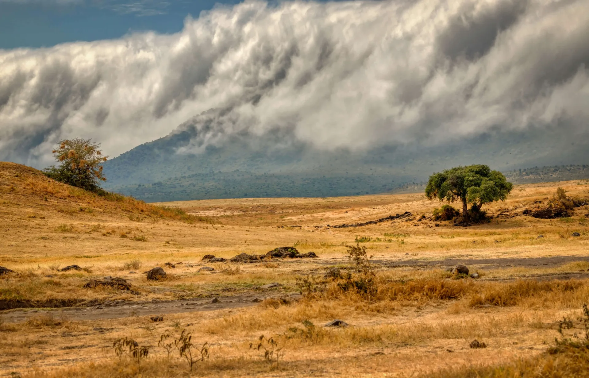 Great Migration Safari: The Serengeti & Ngorongoro