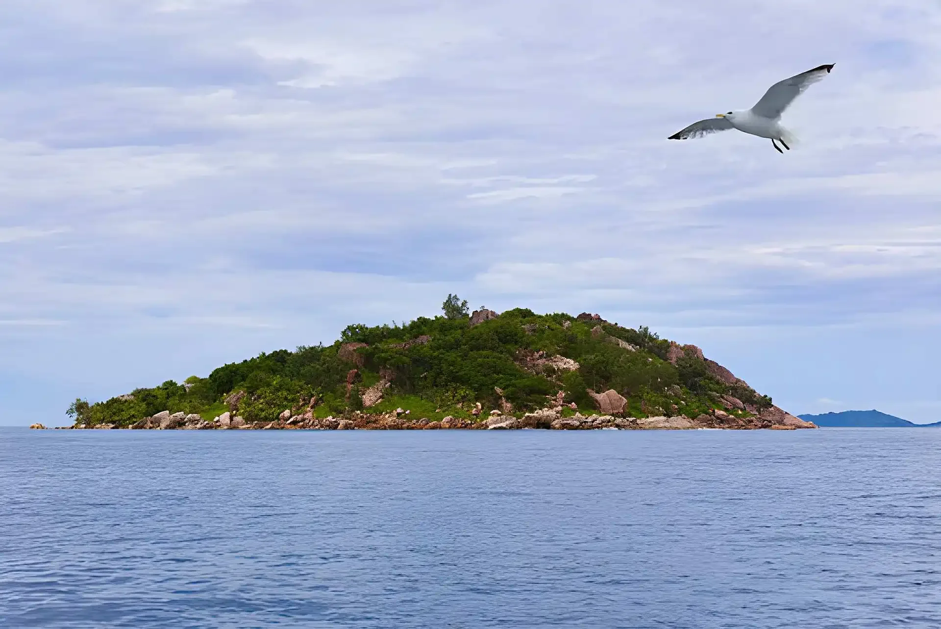 Seychelles Nature & Wildlife: Tortoises, Birds & Coco de Mer