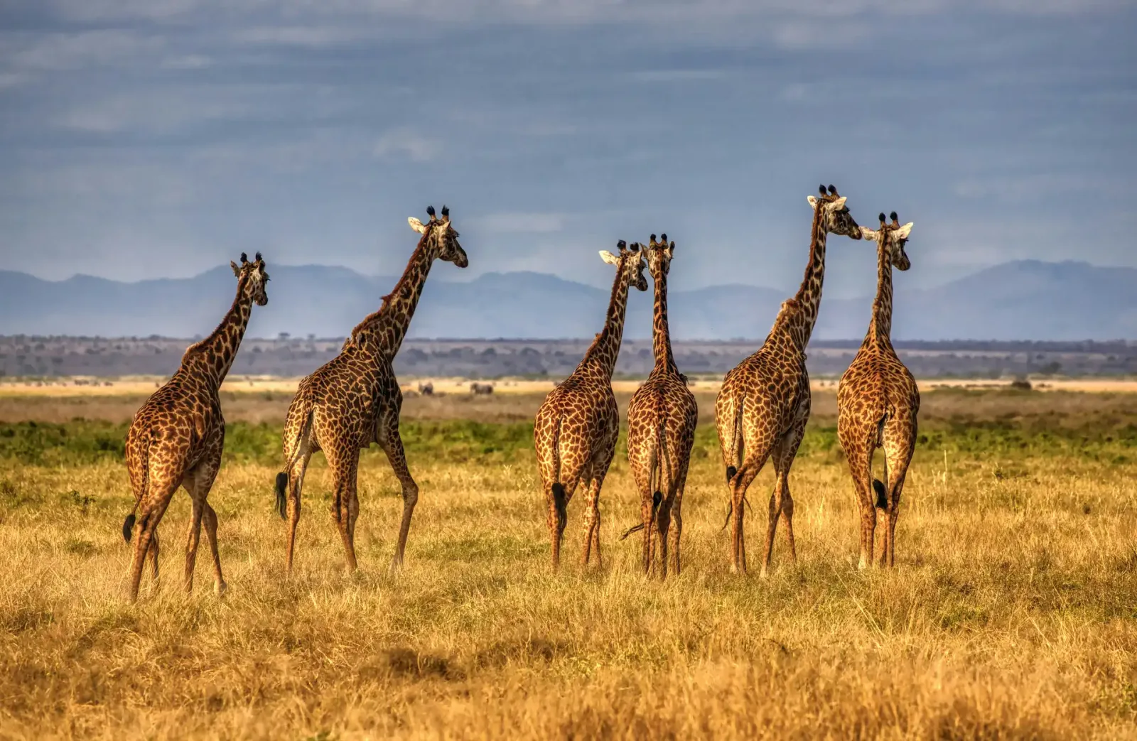 Rift Valley Adventure: Naivasha, Hell's Gate & the Lakes