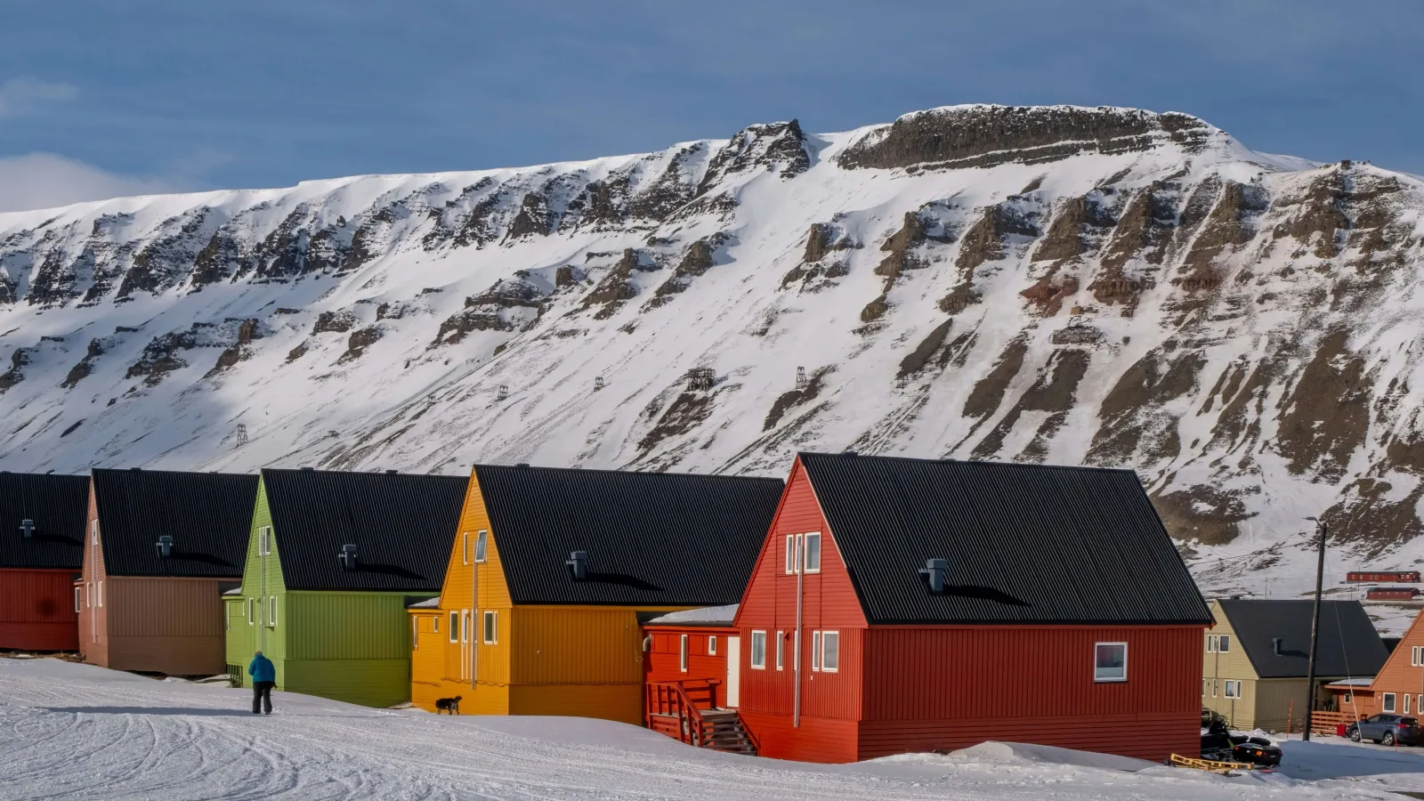 Polar Bears & Pack Ice: North Spitsbergen Wildlife Voyage