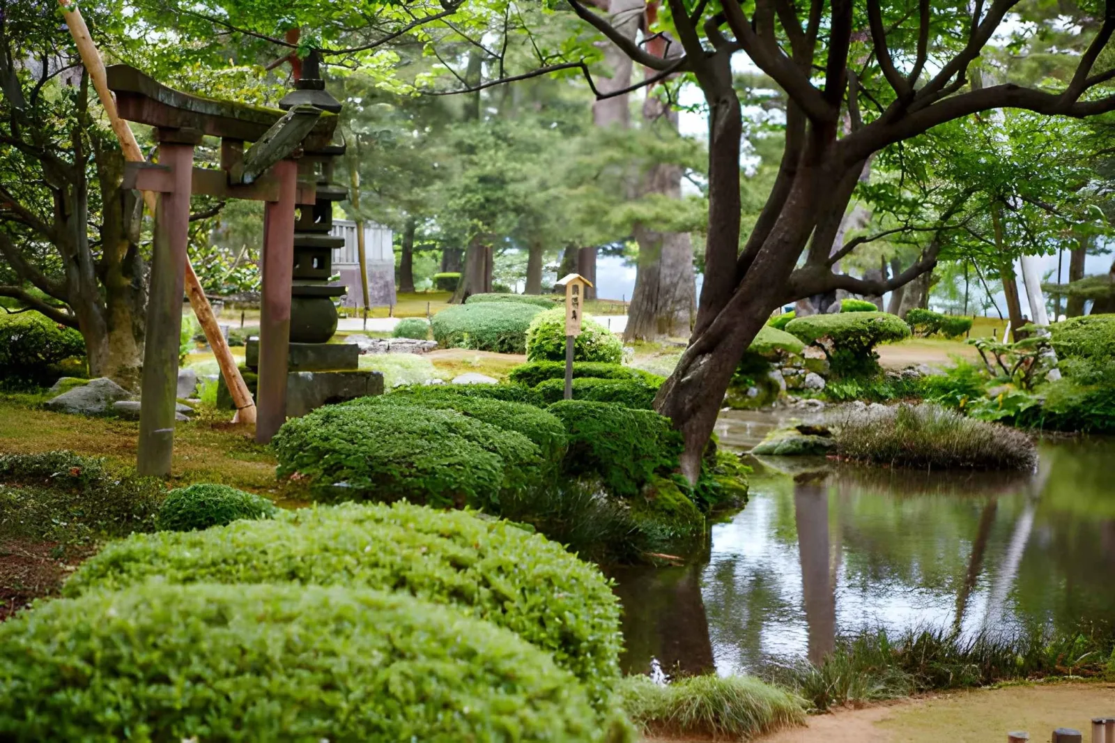 Japan Culture & Cuisine: Tokyo to Hiroshima