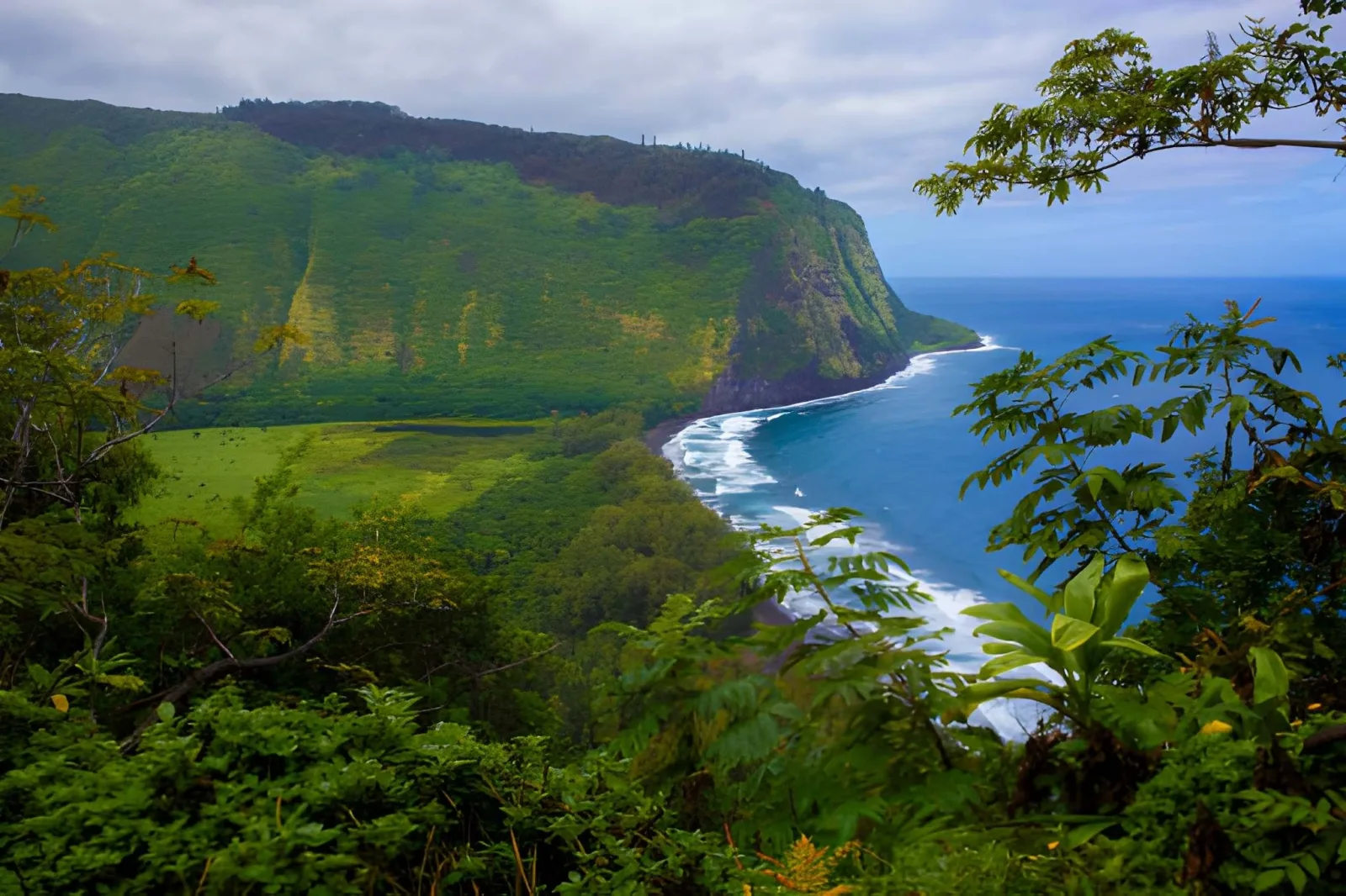 Hawaii Family Adventure: Oahu & the Big Island