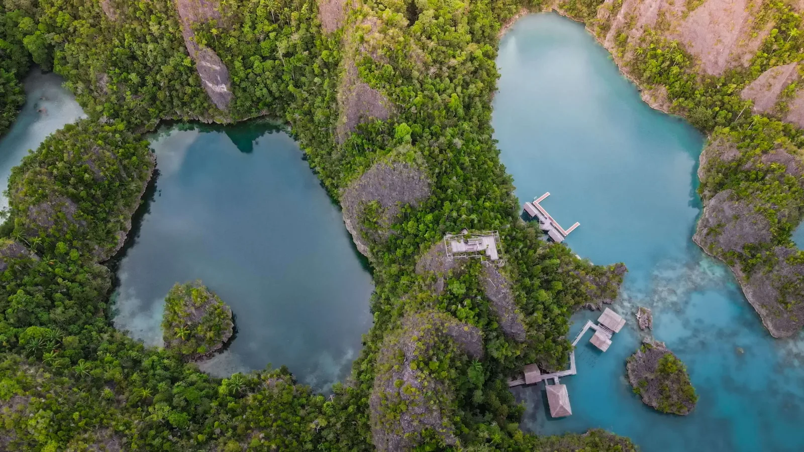 Palau Highlights: Rock Islands, Jellyfish Lake & Reefs