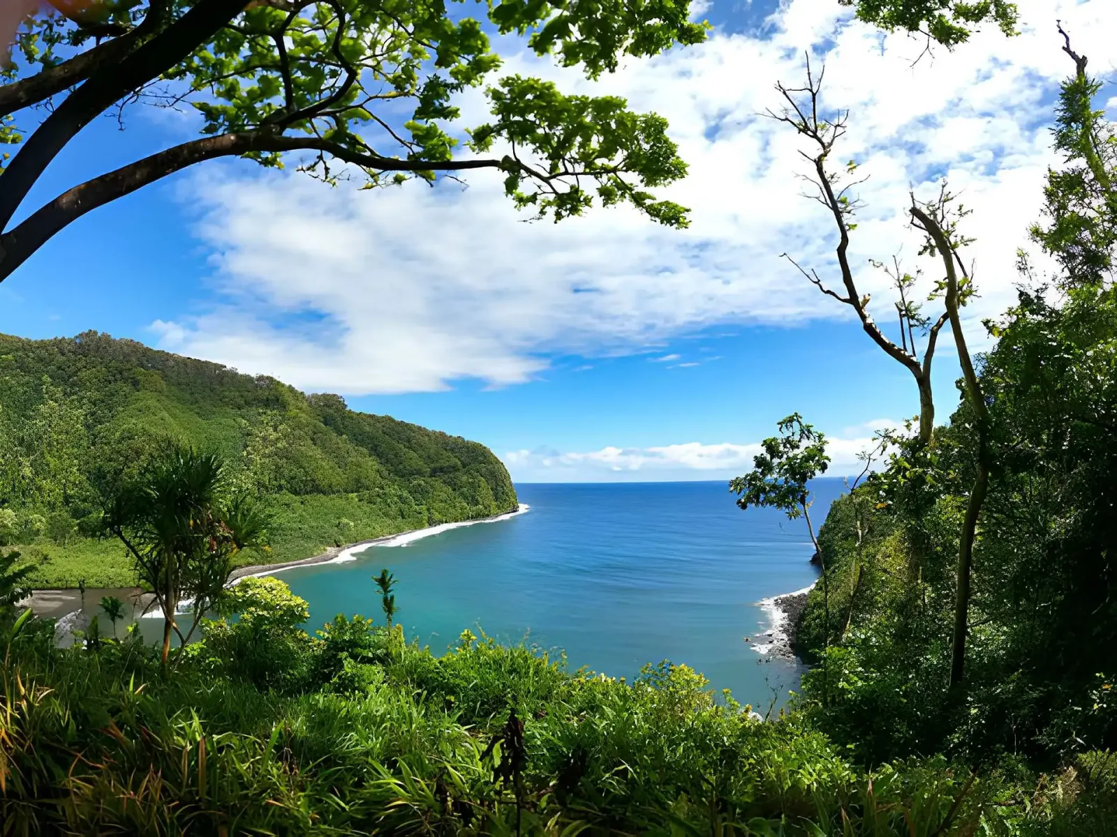 Grand Hawaii: Four Islands