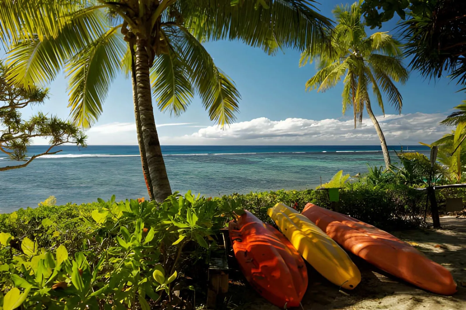 Swim with Humpback Whales in Vava'u