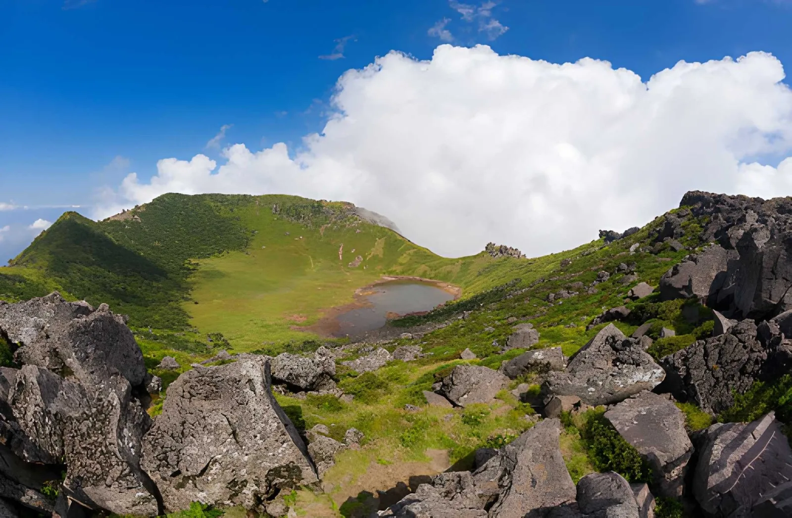 Jeju Island Nature Escape