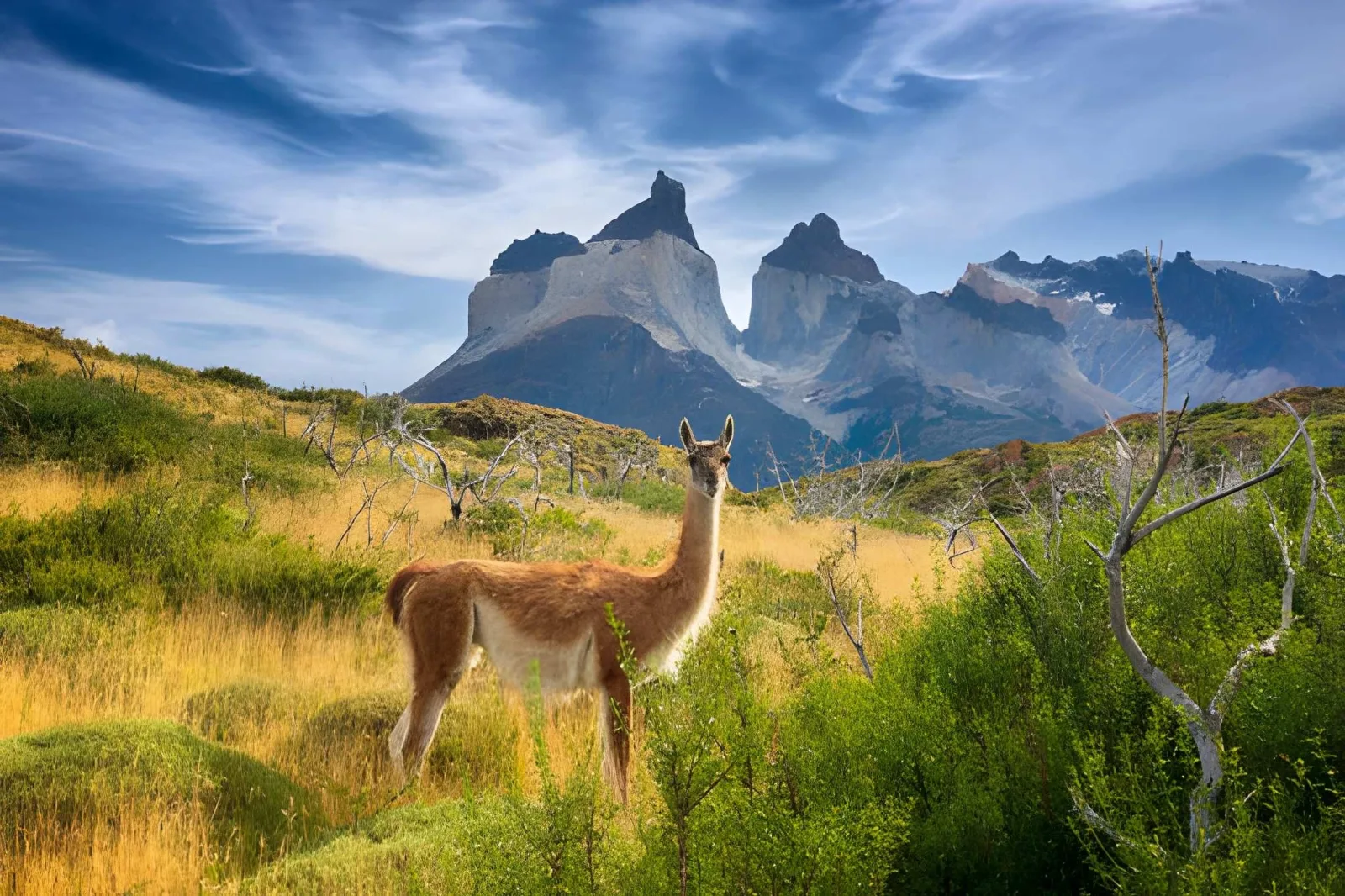 Grand Argentina: Falls, Wine, Glaciers & the End of the World