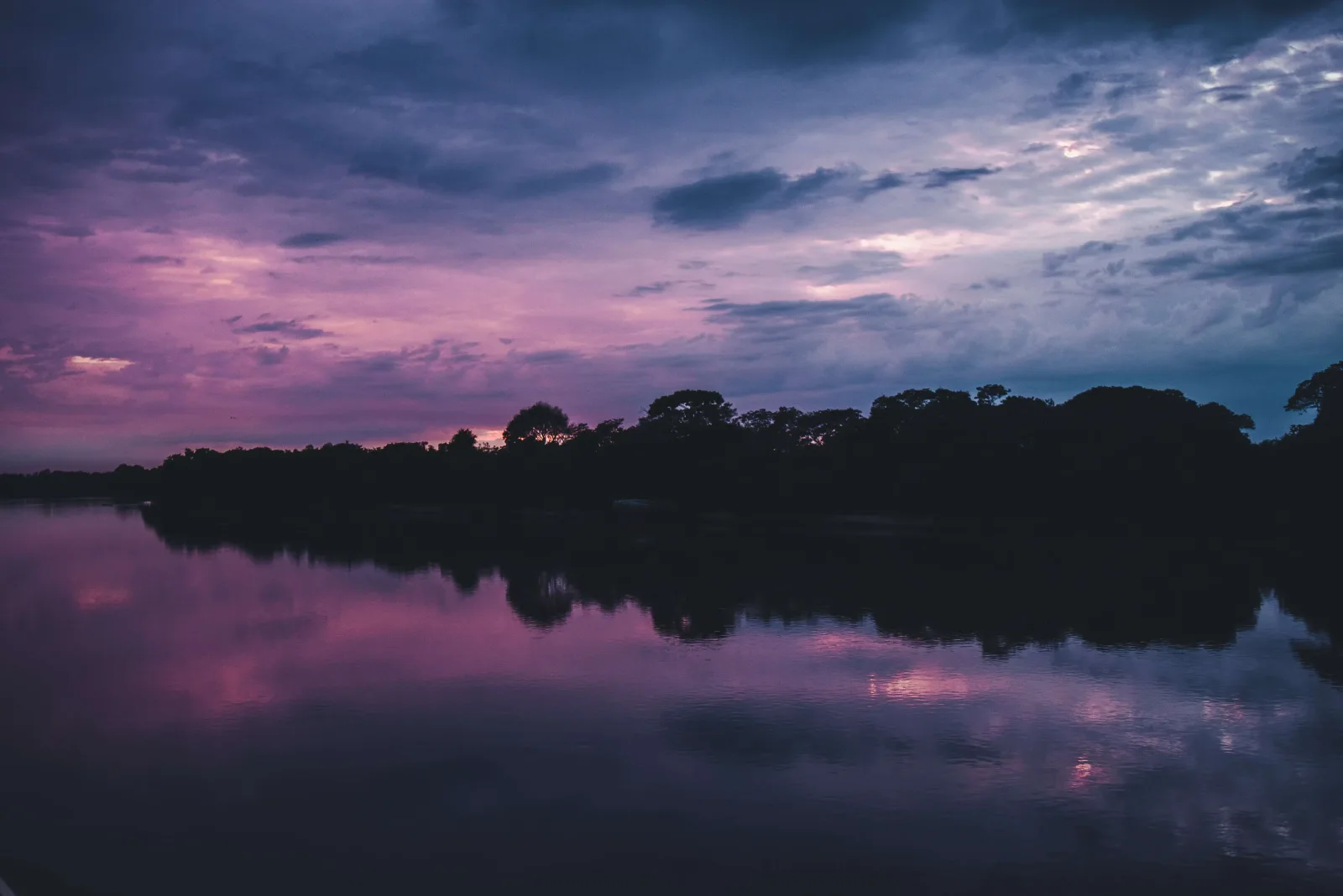 Brazil Wildlife: Pantanal & the Amazon
