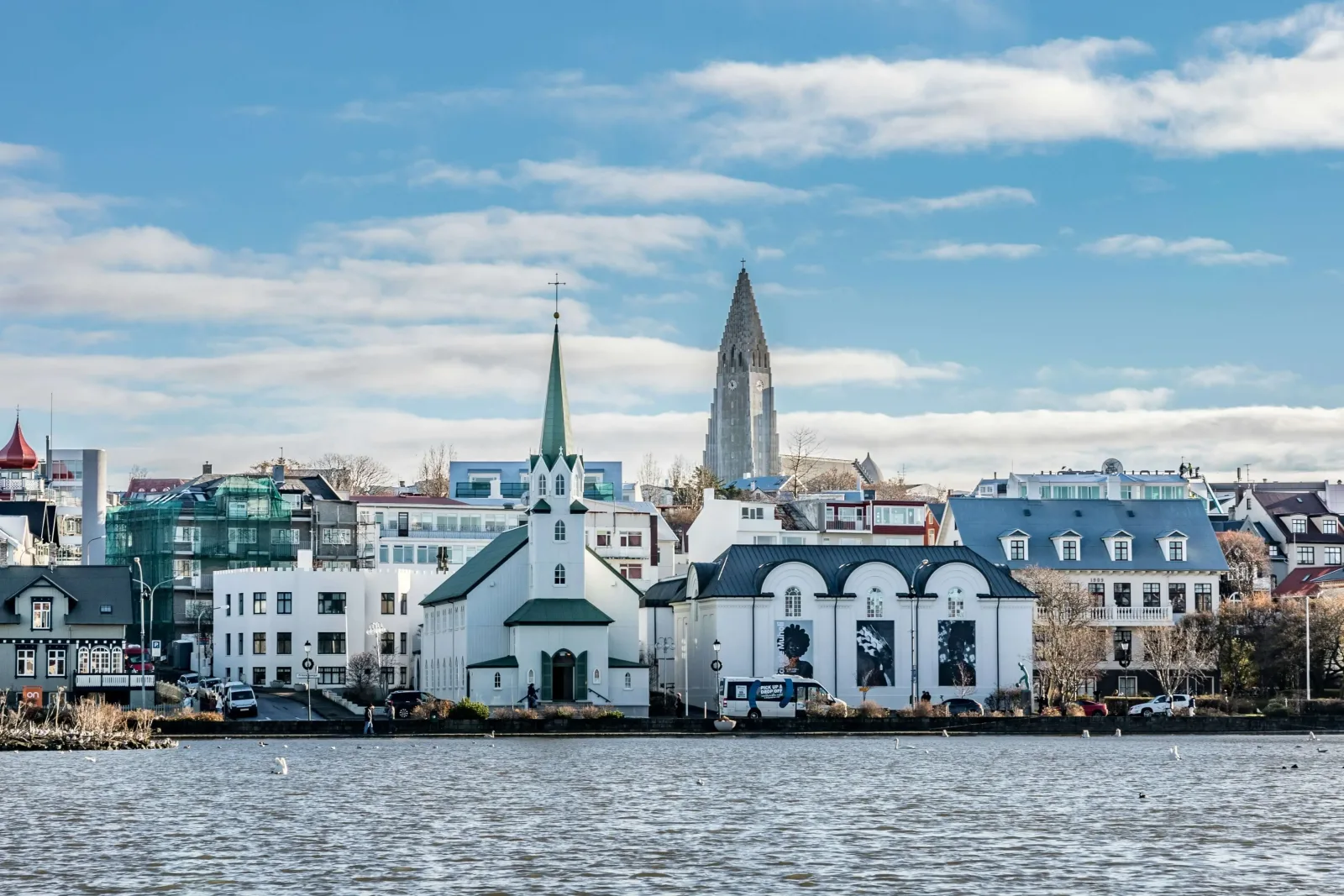 Iceland Wildlife: Whales, Puffins & the Geothermal North