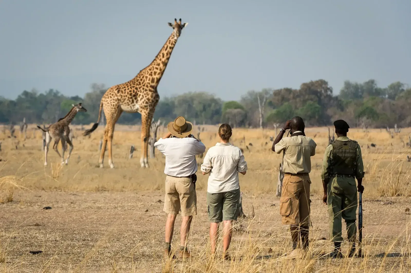 South Luangwa Walking Safari: Birthplace of the Walk