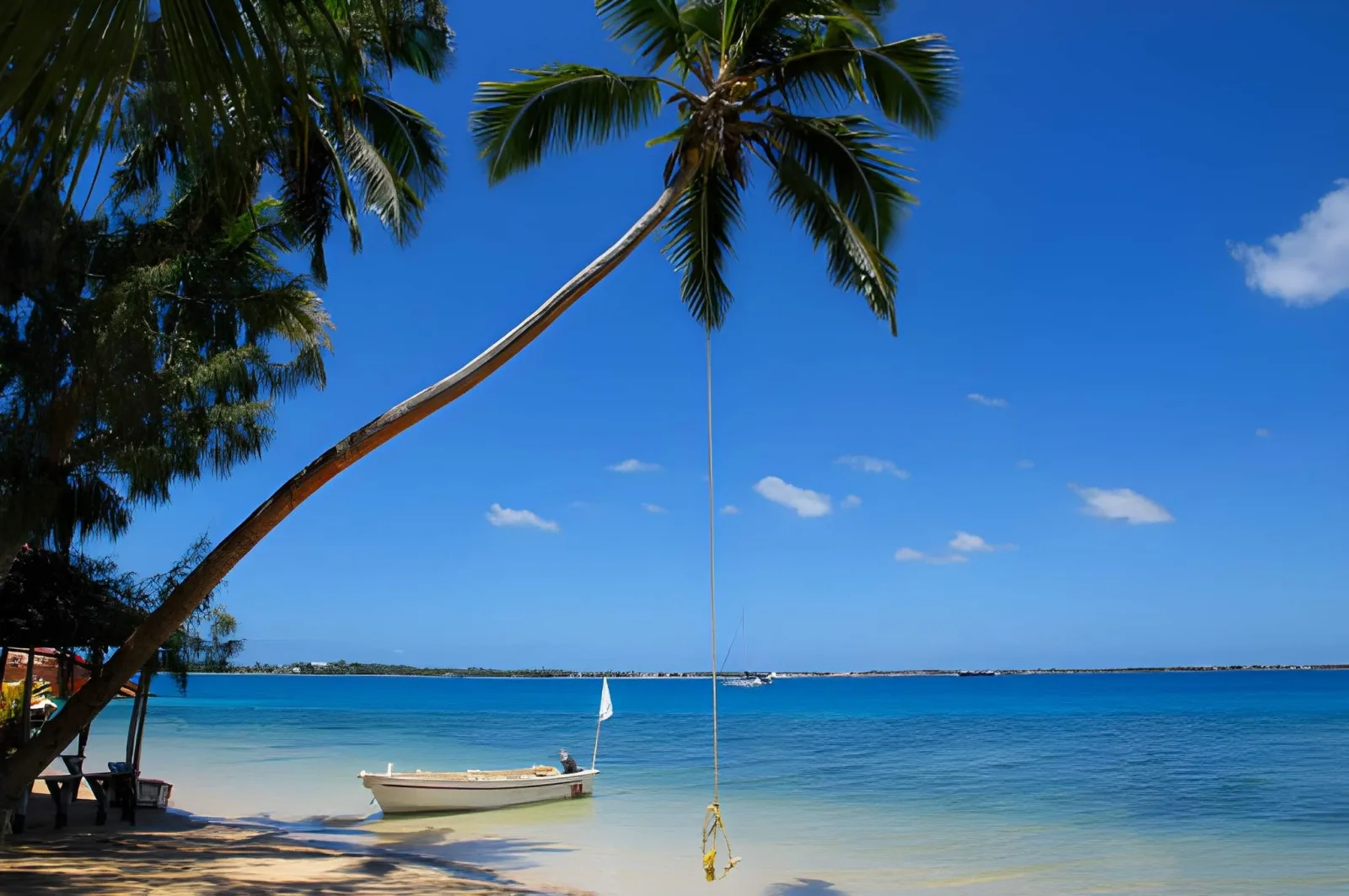 Highlights of Tonga: Tongatapu & Vava'u