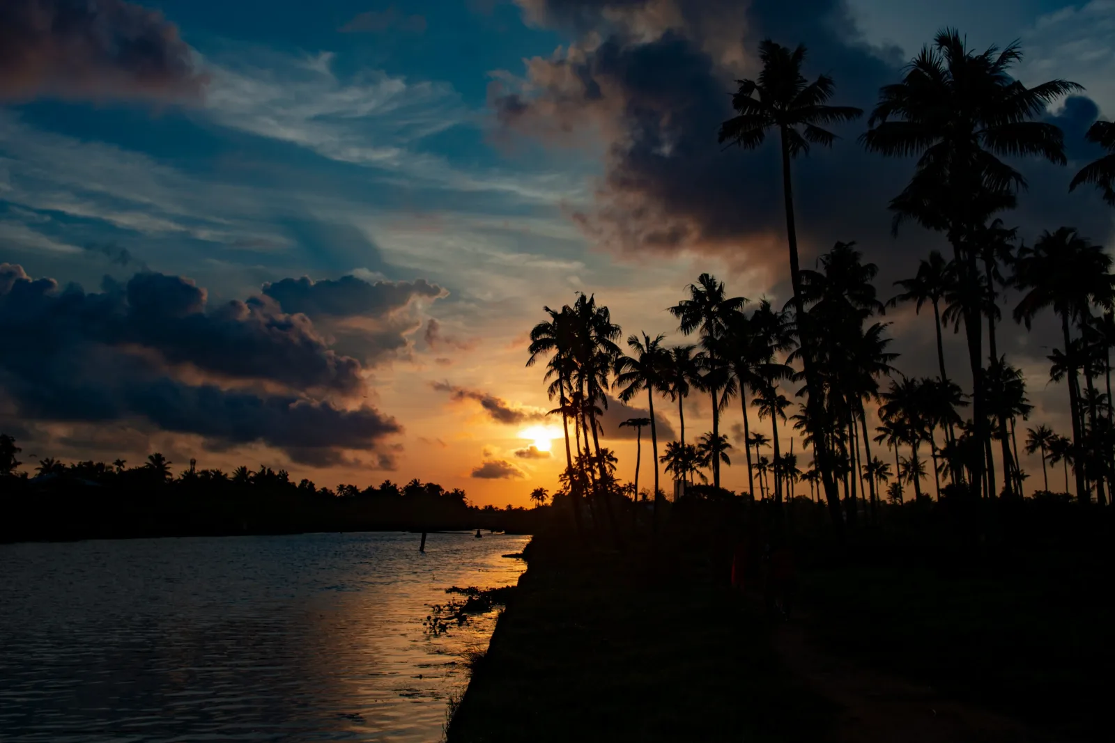 Kerala Backwaters & Hills