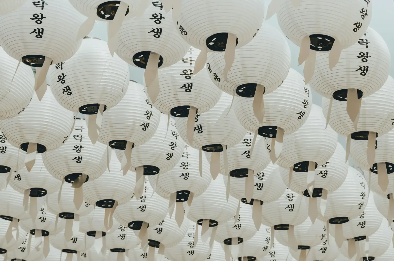 Seoul, Jeju & Busan Highlights
