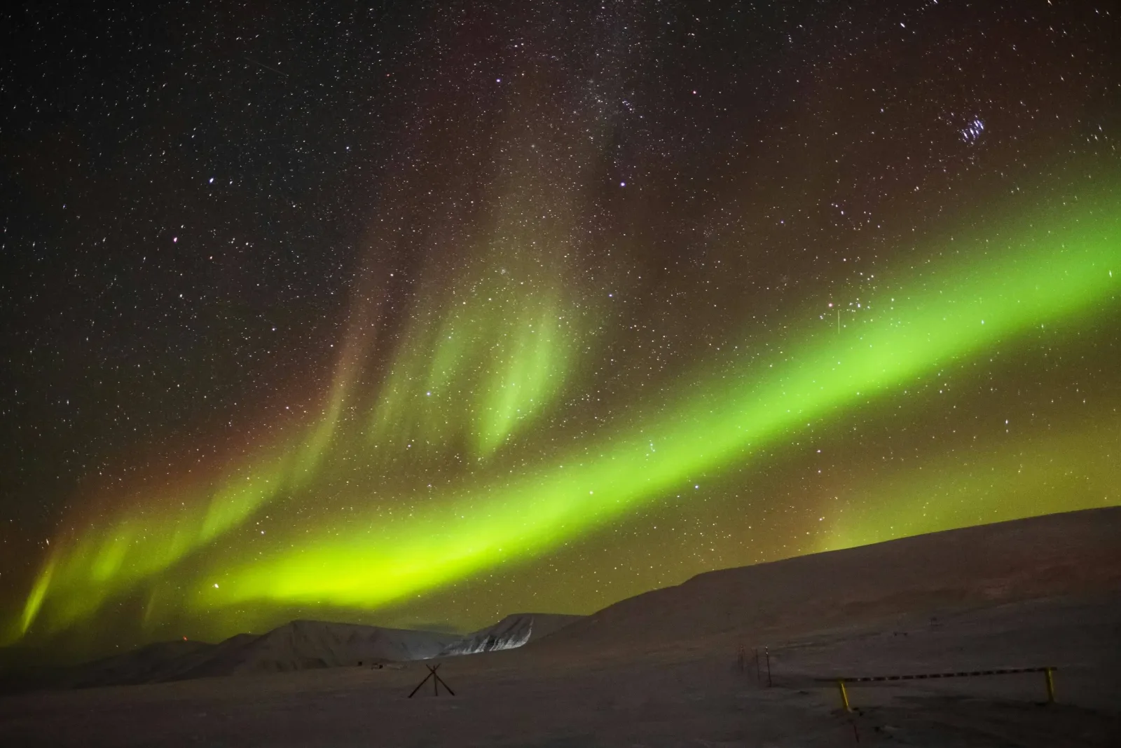 Grand Svalbard Expedition: Spitsbergen, Nordaustlandet & the Ice Edge