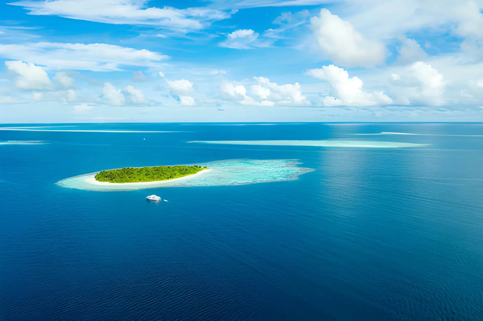 Maldives Liveaboard Cruise: Atolls, Reefs & Marine Life
