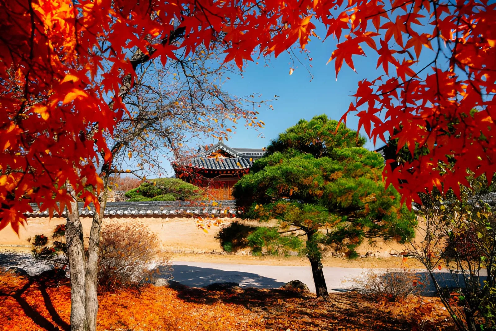 Korea in Depth: Seoul, Andong, Gyeongju, Busan & Jeju