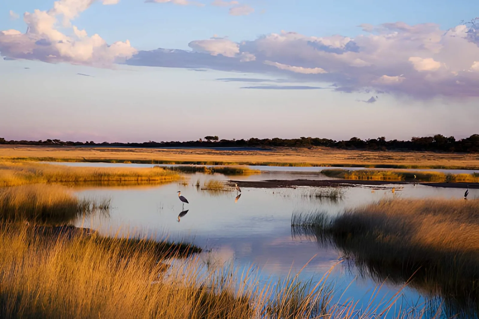 Etosha Wildlife Safari: Waterholes, Rhino & the Great Pan