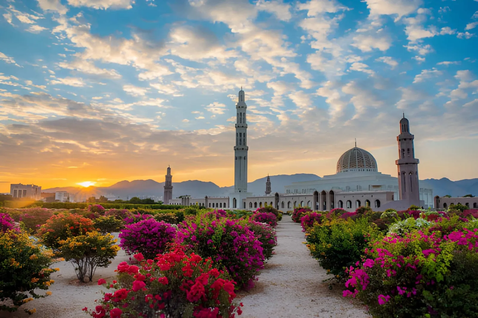 Luxury Oman: Forts, Mountains & Desert in Style